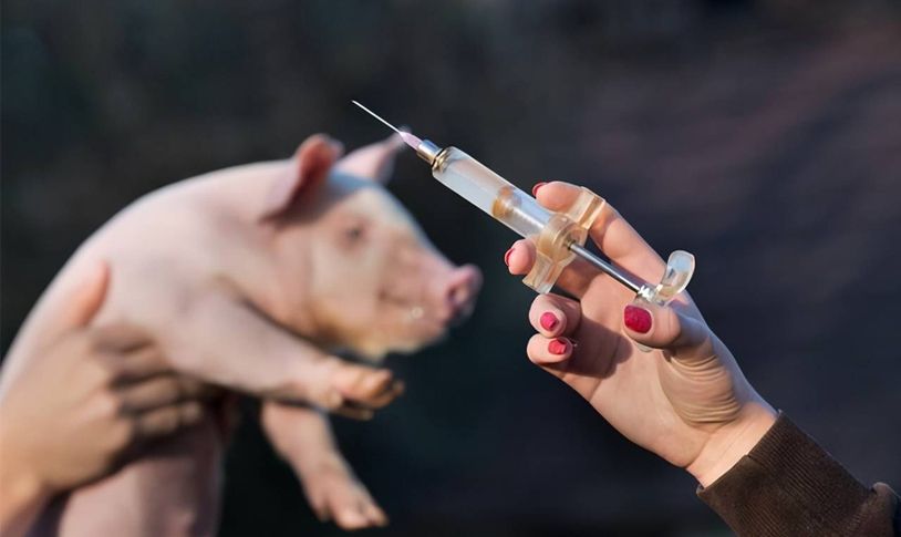 Preparados de medicamentos veterinarios