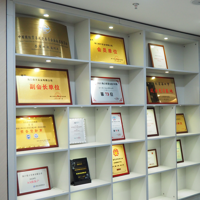 Hainan Dingfang Tecnológico Grupo Co., Ltd.